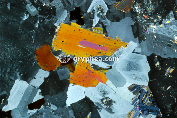 Granite LPA x7 - gryphea.com